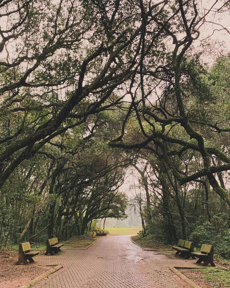 📍caxias do sul rs essa é de um passeio comum, num domingo à tarde, depois de um sábado chuvoso 