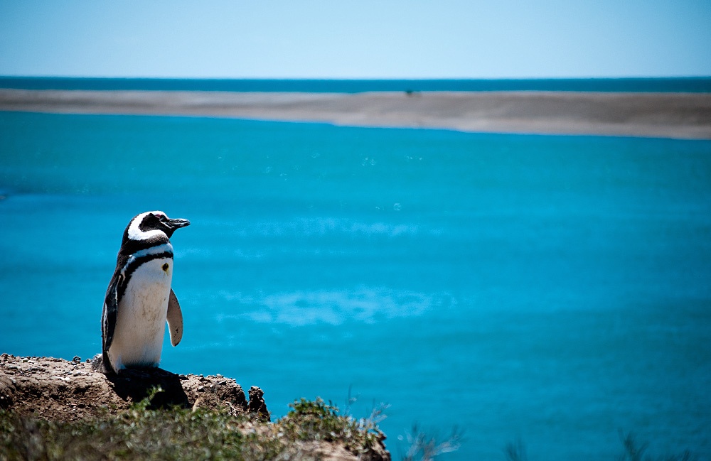 Puerto Madryn Argentina